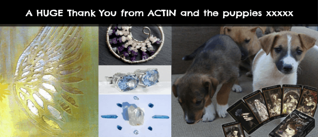 Holistic Charity Event ~ Online Auction