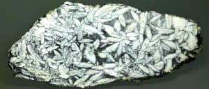 Pinolite