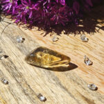 Natural Citrine Polished Pebble - AAA Grade - Item E