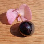 Pink flower and polished dark stone on wood