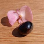 Pink flower and polished dark stone on wood