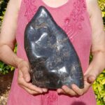 Petrified Wood