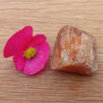 Hand gathered Honey Calcite - Item M