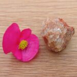 Hand gathered Honey Calcite - Item Q