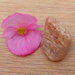 Hand gathered Honey Calcite - Item T