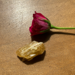 Orange Calcite Rough - Item V