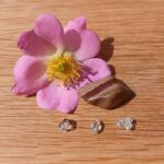Petrified Wood Pebble - Item B