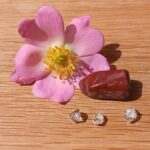 Petrified Wood Pebble - Item C