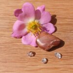 Petrified Wood Pebble - Item D
