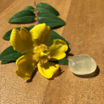 Honey Calcite Polished - Item D