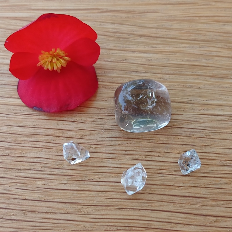 Red flower with clear crystals on wooden surface