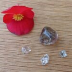 Red flower and clear crystals on wooden surface