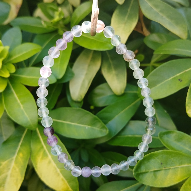 Fluorite bead bracelet hanging on green foliage
