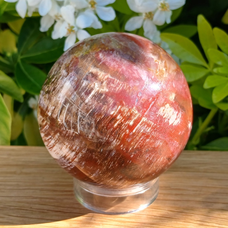 Petrified Wood Sphere - Item A