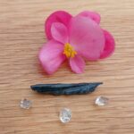 Vivianite Rough - ULTRA RARE - Item G