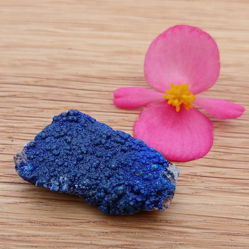 Deep blue mineral specimen beside a pink flower