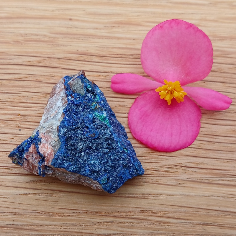 Blue iridescent mineral specimen beside a pink flower
