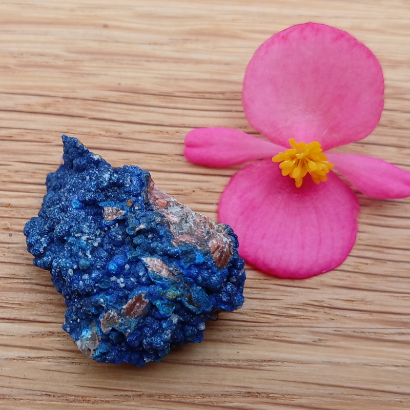 Vivid blue mineral specimen beside a pink flower