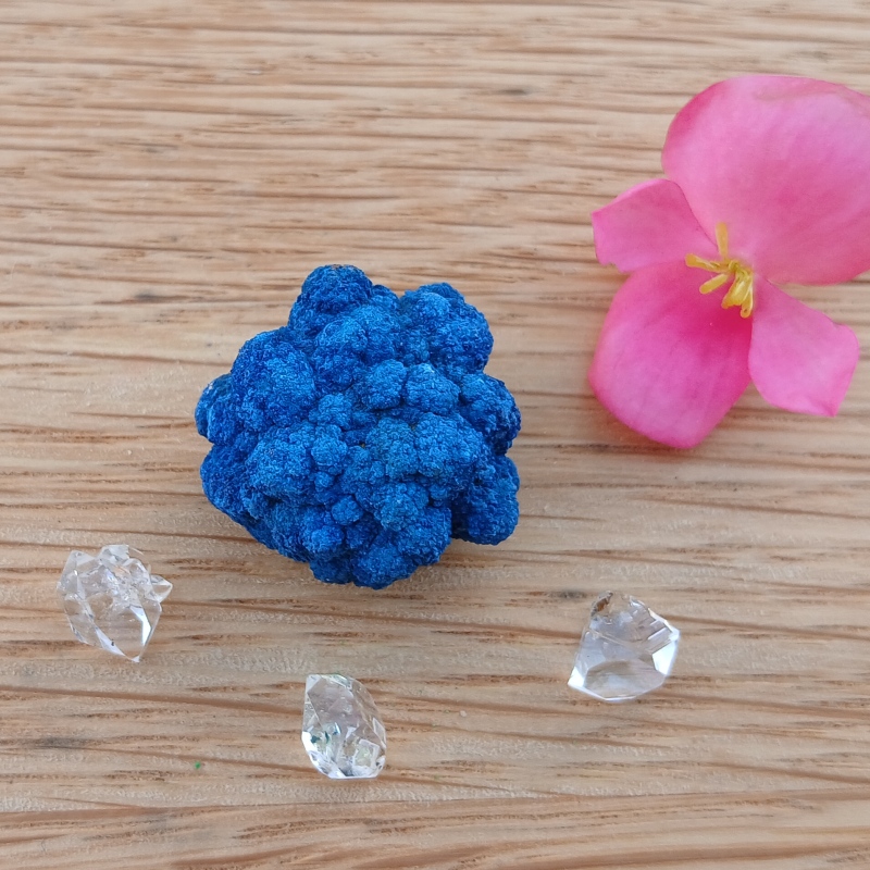 Vivid blue mineral specimen with pink flower and clear crystals