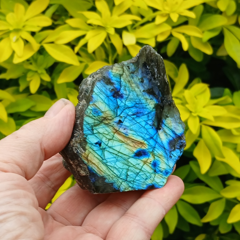 Hand holding iridescent blue labradorite against yellow leaves