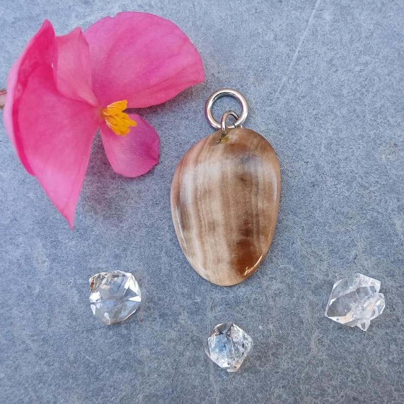 Shell pendant beside pink flower and clear crystals
