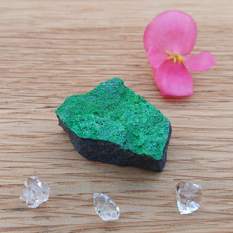 Vivid green mineral specimen with clear crystals and pink flower